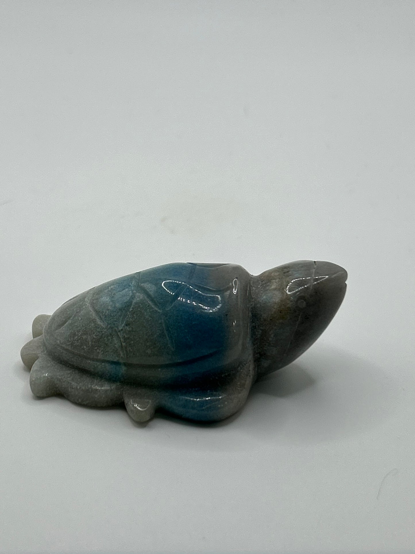 Turtle(s) - Trolleite