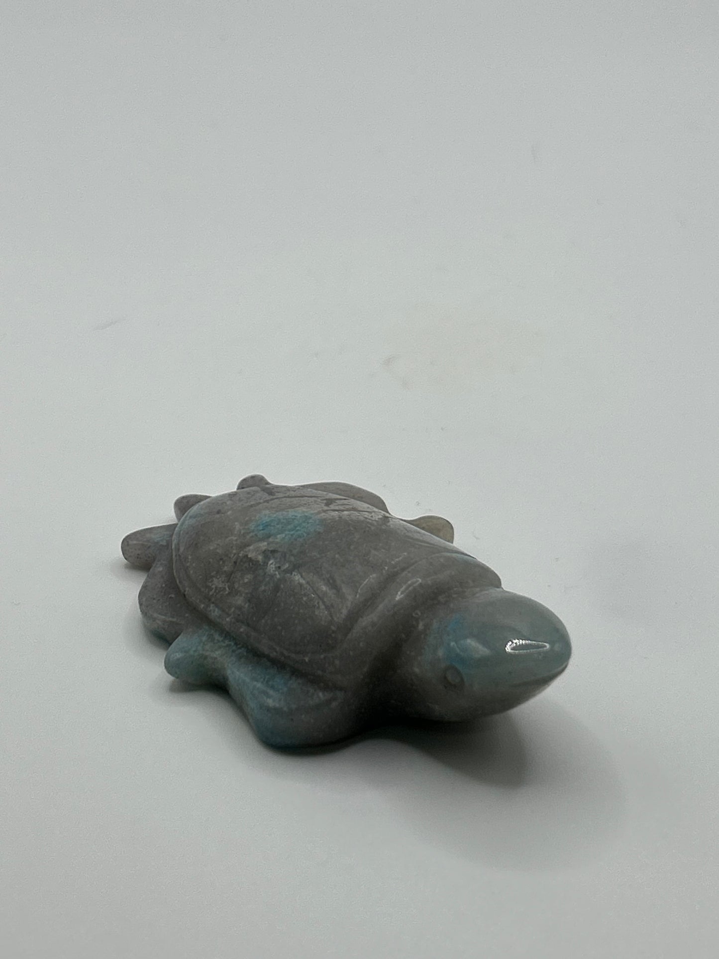 Turtle(s) - Trolleite