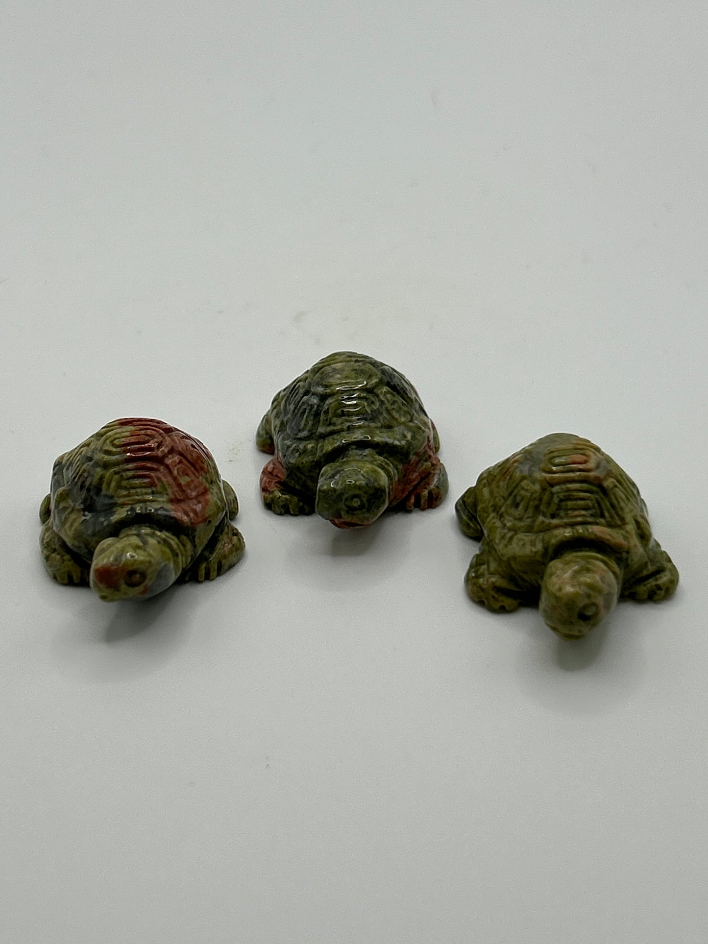 Turtle(s) - Mixed Material Small