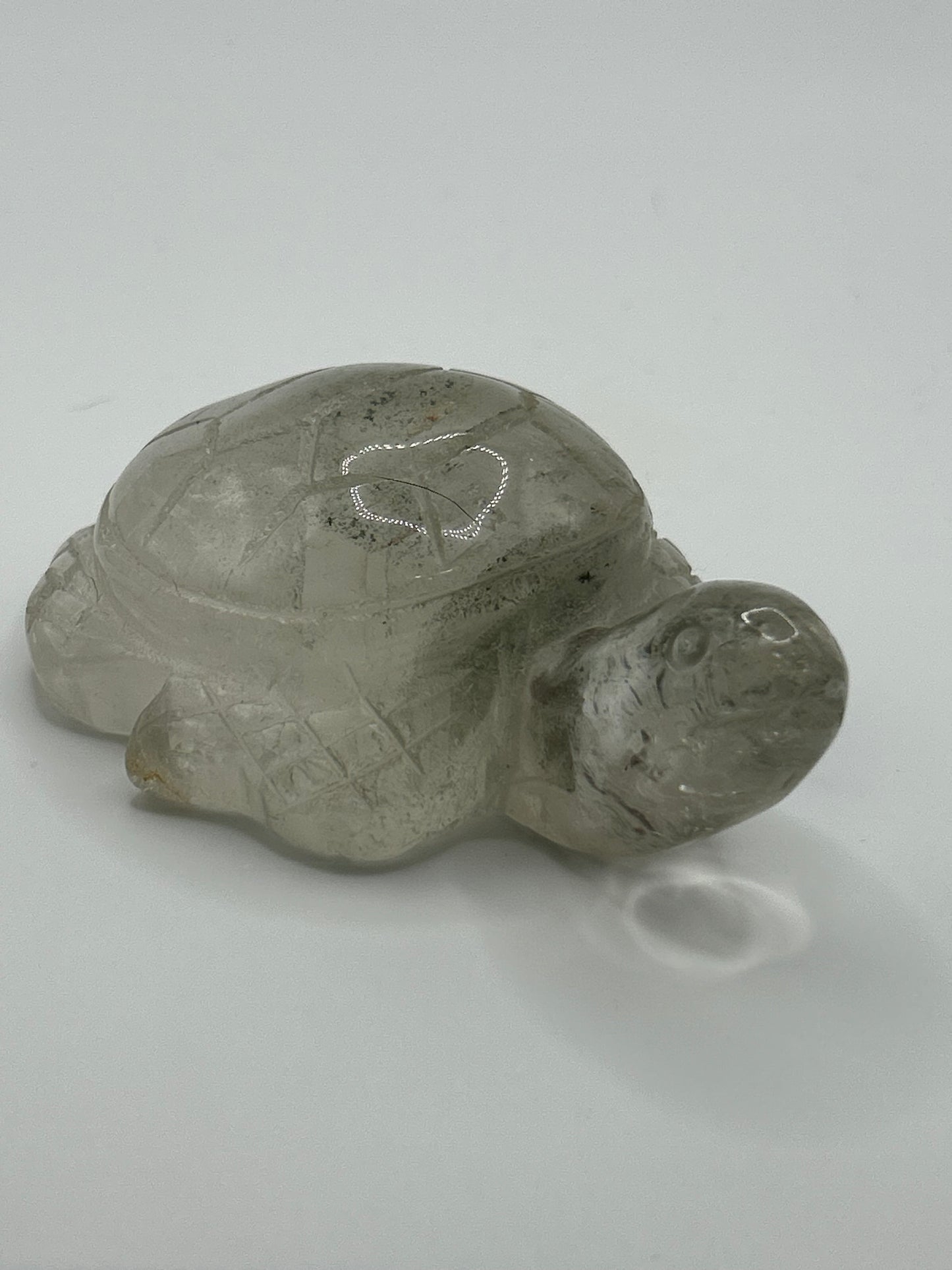 Turtle(s) - Garden Quartz