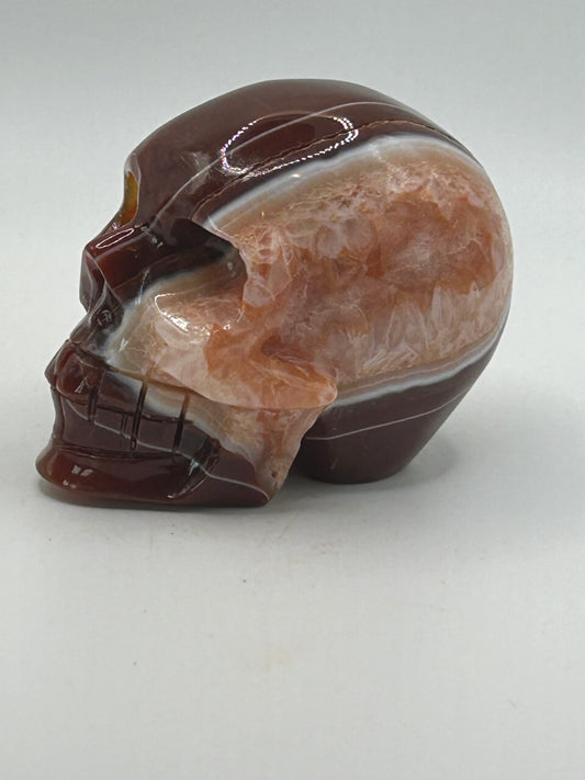 Skull(s) - Carnelian