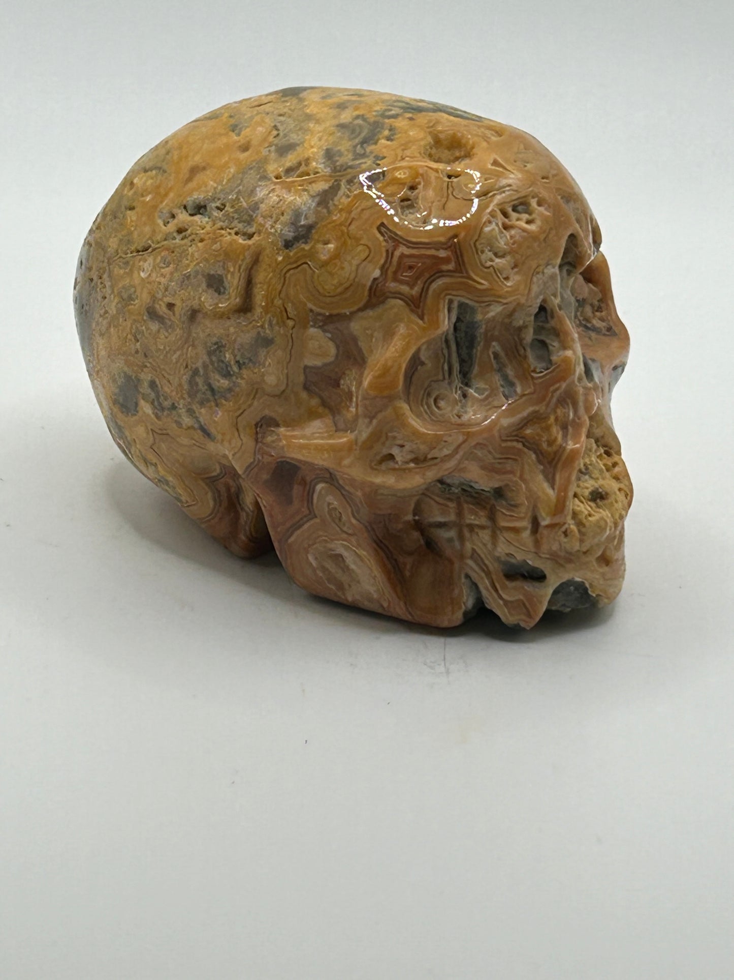 Skull(s) - Mexican Crazy Lace Agate