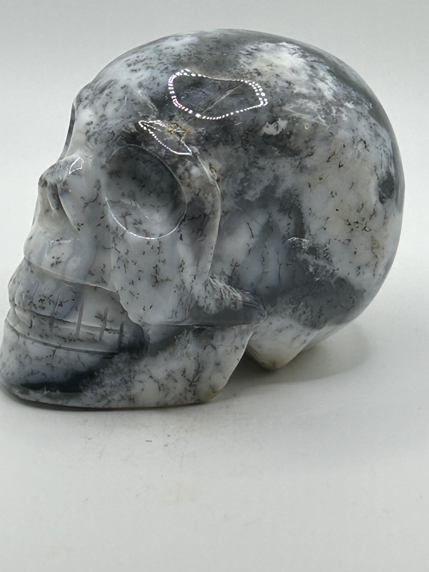 Skull(s) - Black Agate