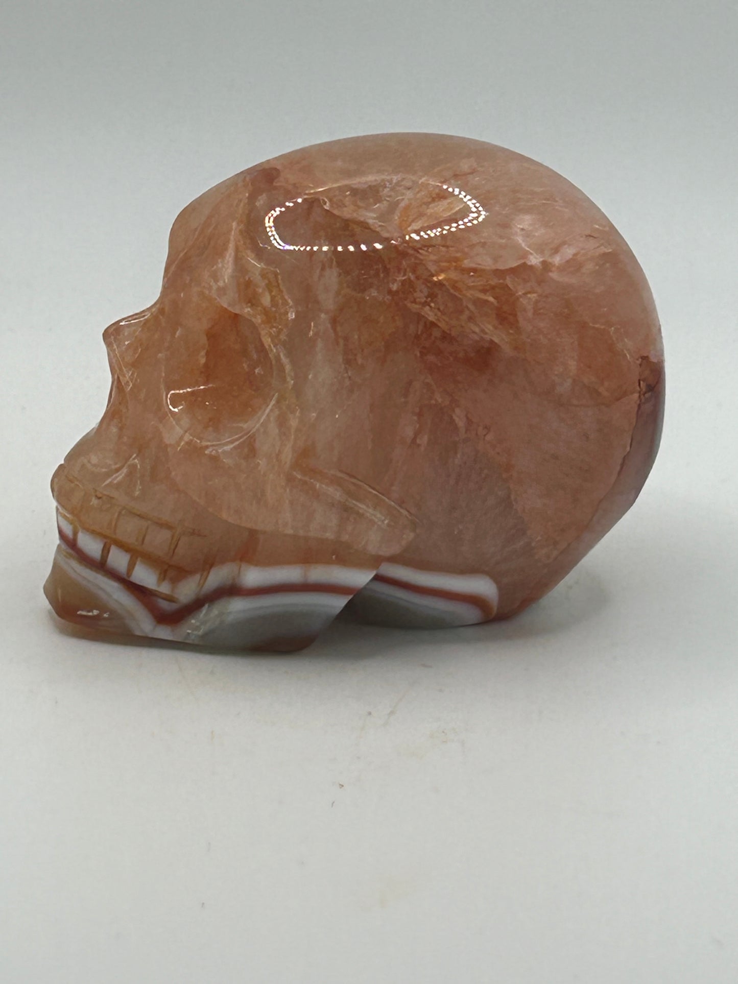 Skull(s) - Carnelian