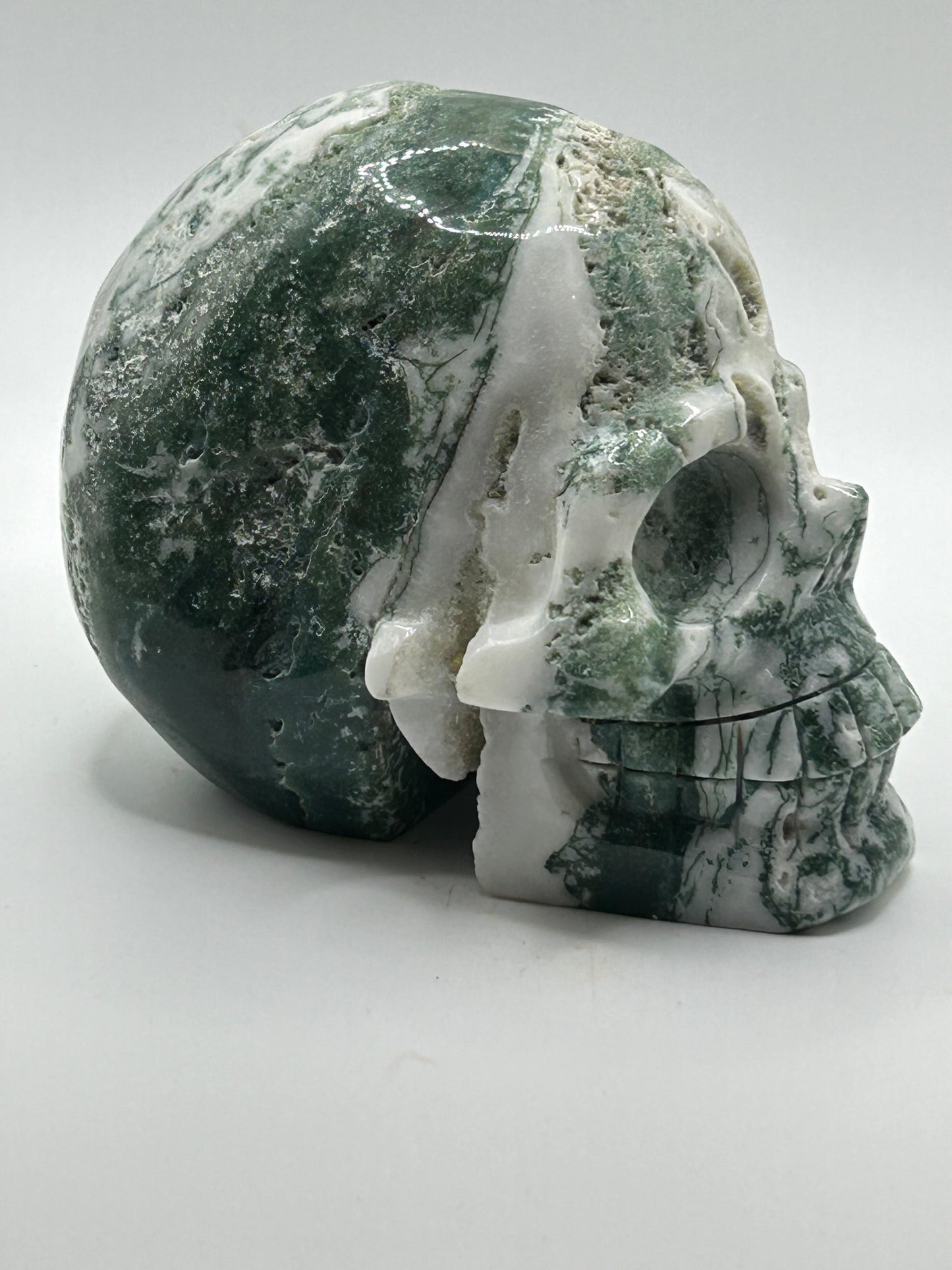 Skull(s) - Moss and Tree Agate