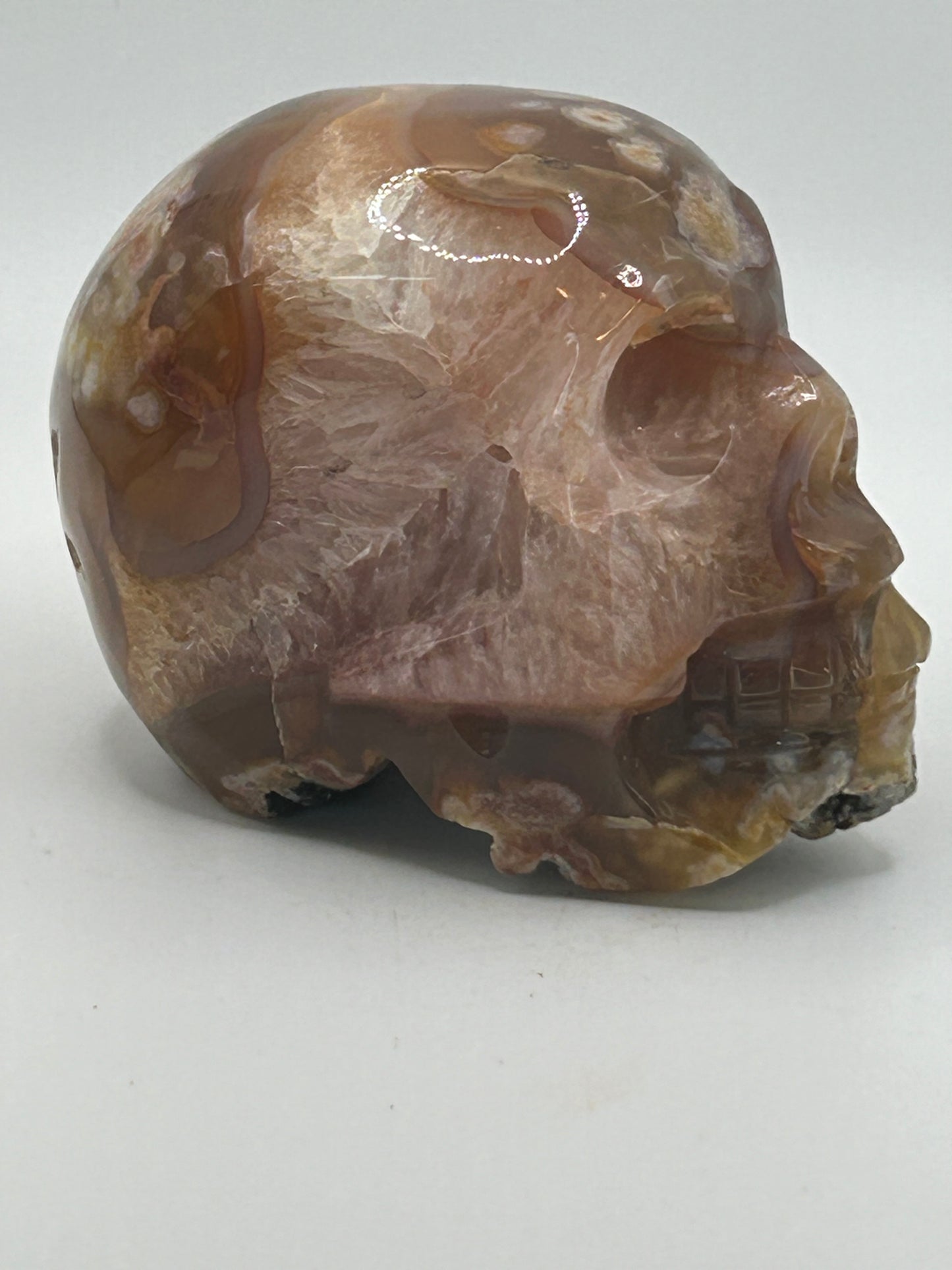 Skull(s) - Carnelian