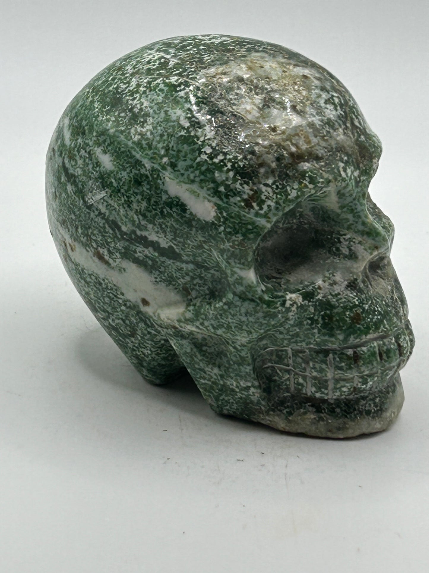 Skull(s) - Moss and Tree Agate