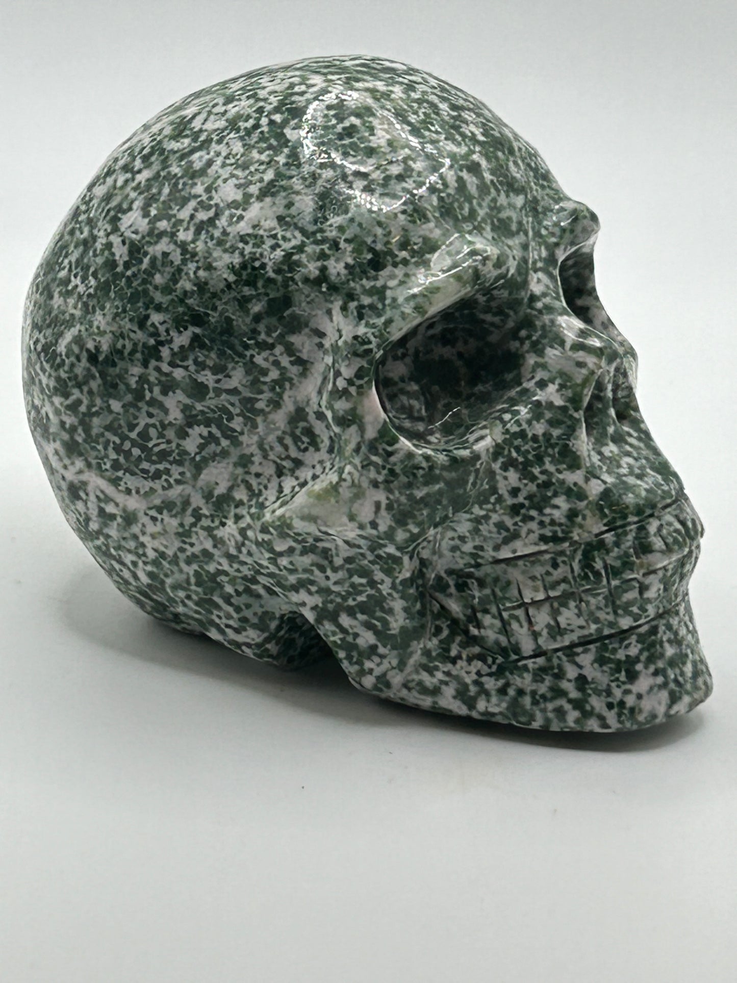 Skull(s) - Moss and Tree Agate