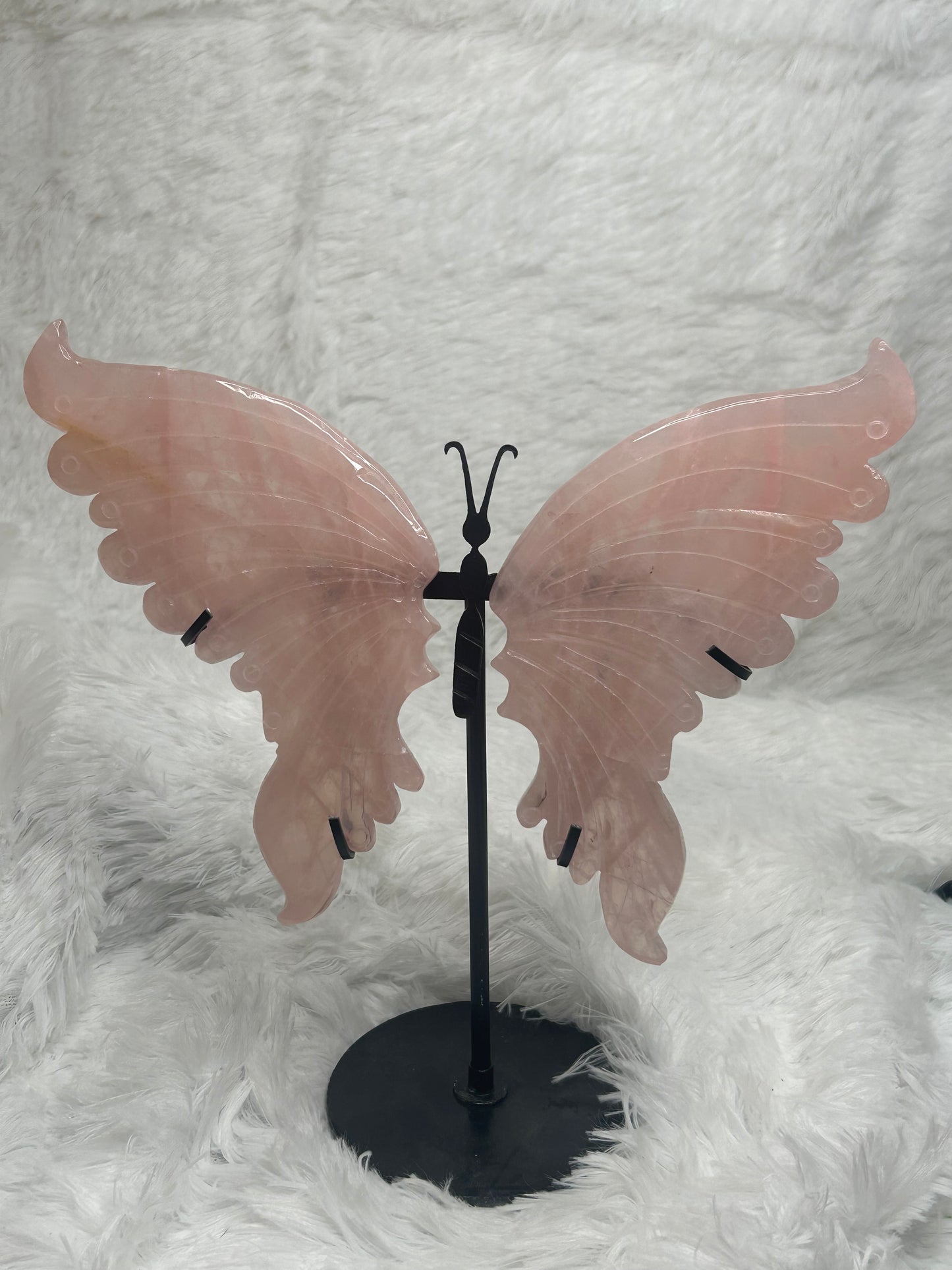 Butterfly Wings on Stand (Large)