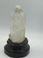 Free Form(s) - Quartz, Clear or Garden on Stand