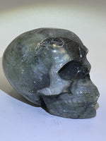 Skull(s) - Labradorite