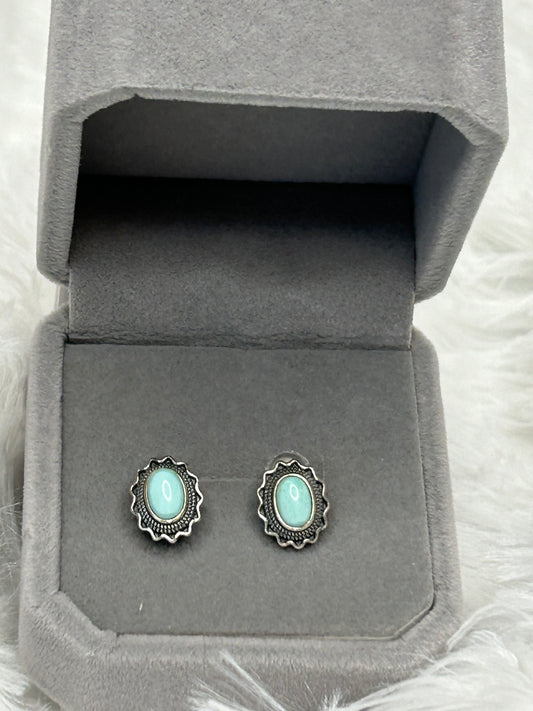 Earrings, Larimar