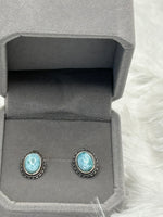 Earrings, Larimar