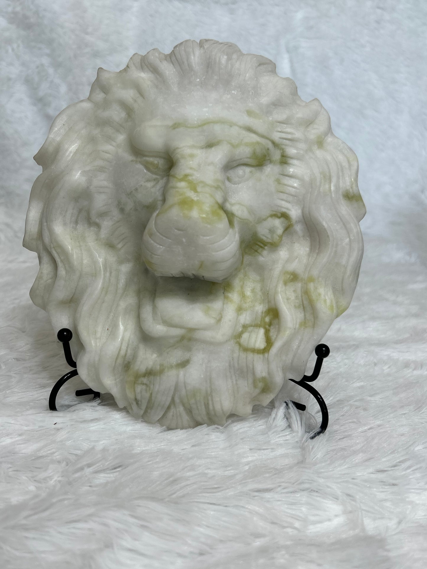 Lion Head(s)