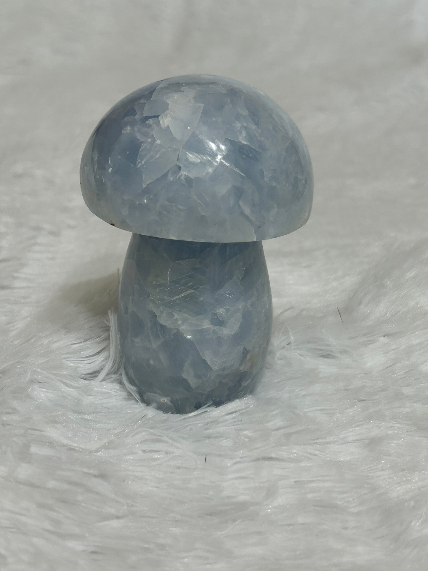 Mushroom(s), Celestite