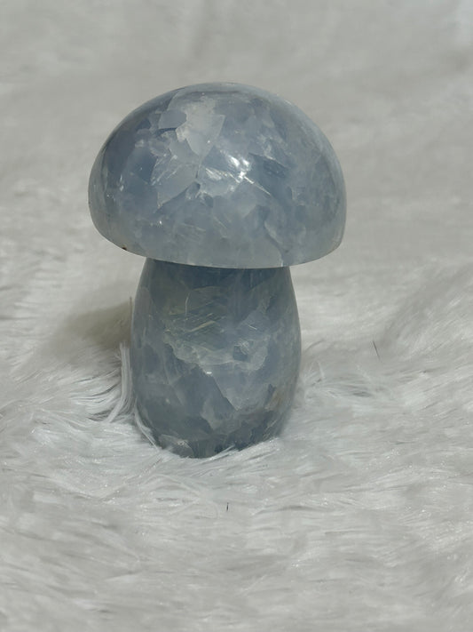 Mushroom(s), Celestite