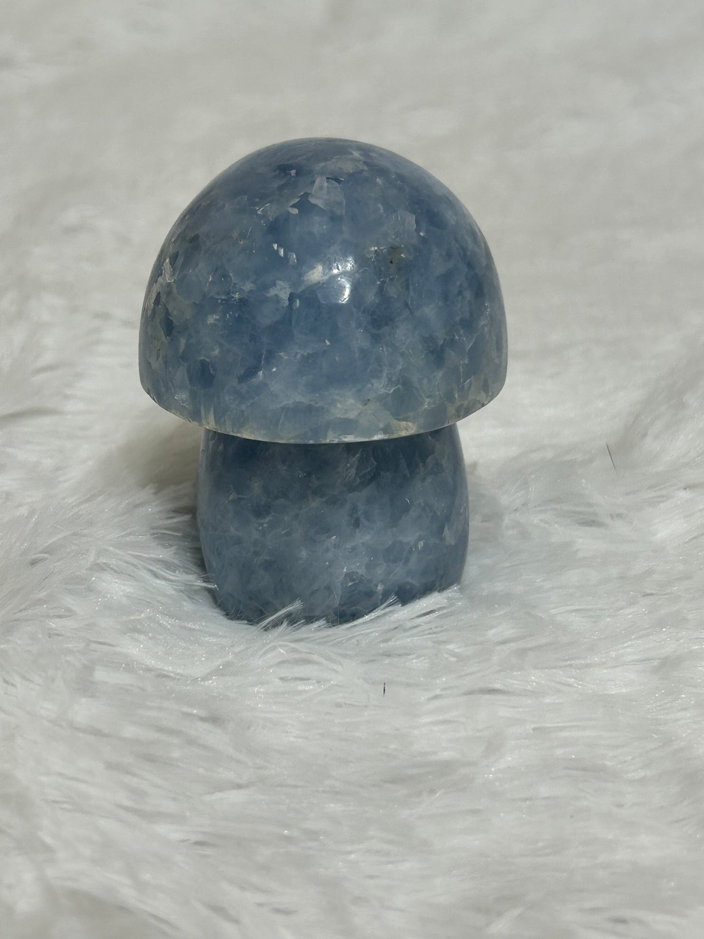 Mushroom(s), Celestite