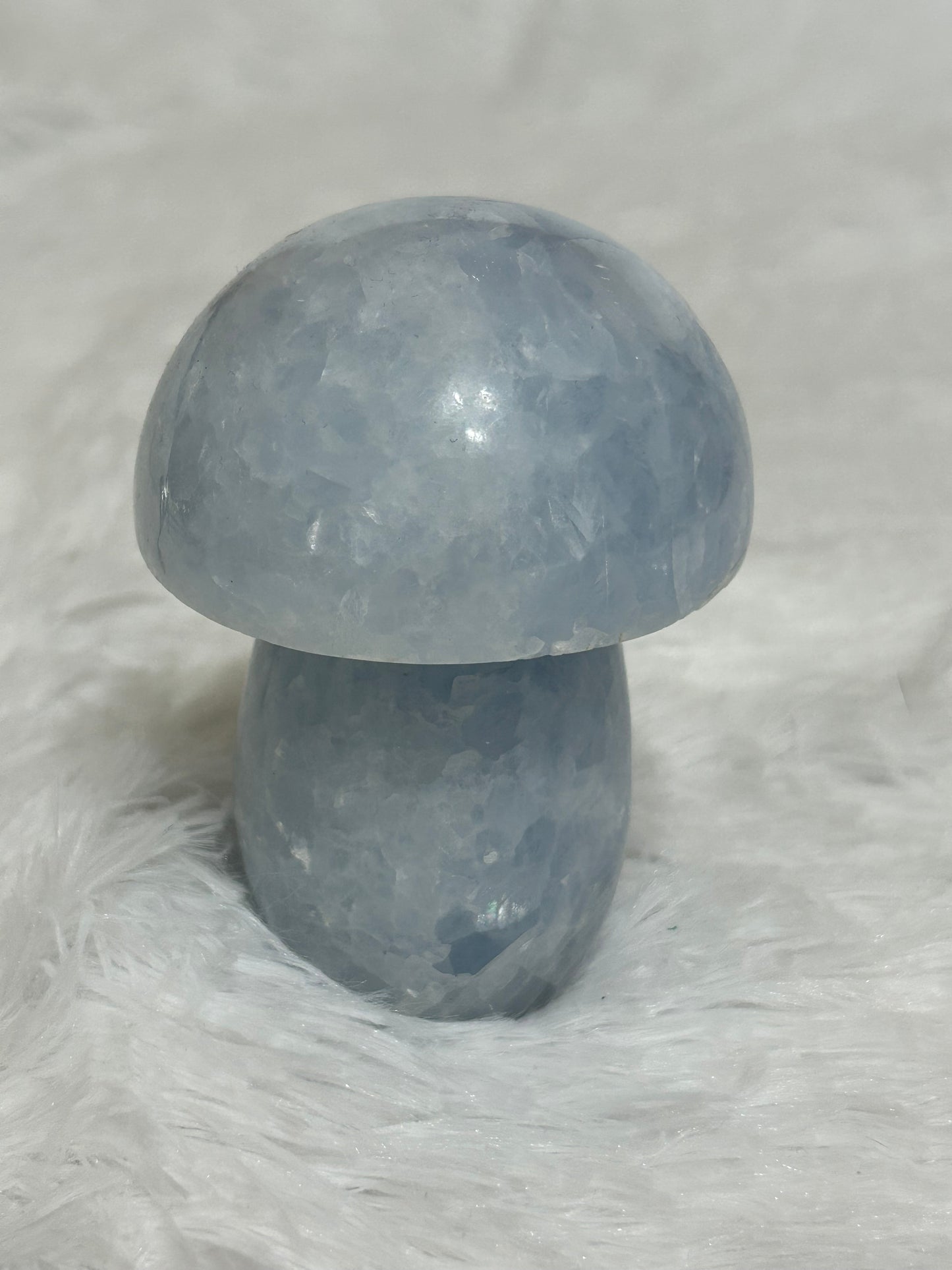 Mushroom(s), Celestite