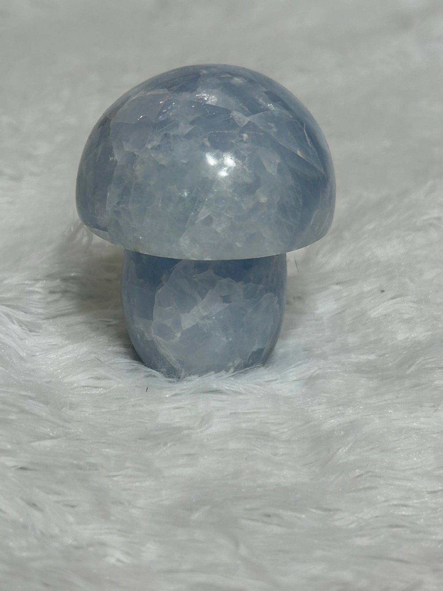 Mushroom(s), Celestite