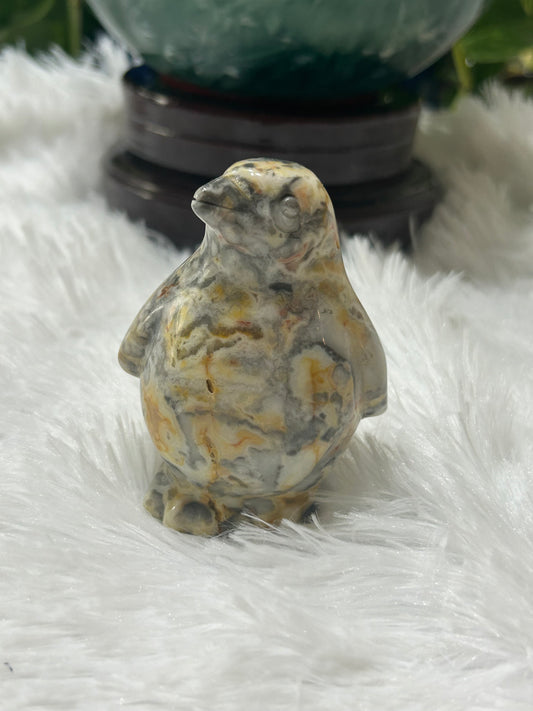 Penguin(s) - Mexican Crazy Lace Agate