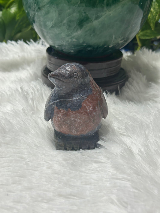 Penguin(s) - Picture Jasper