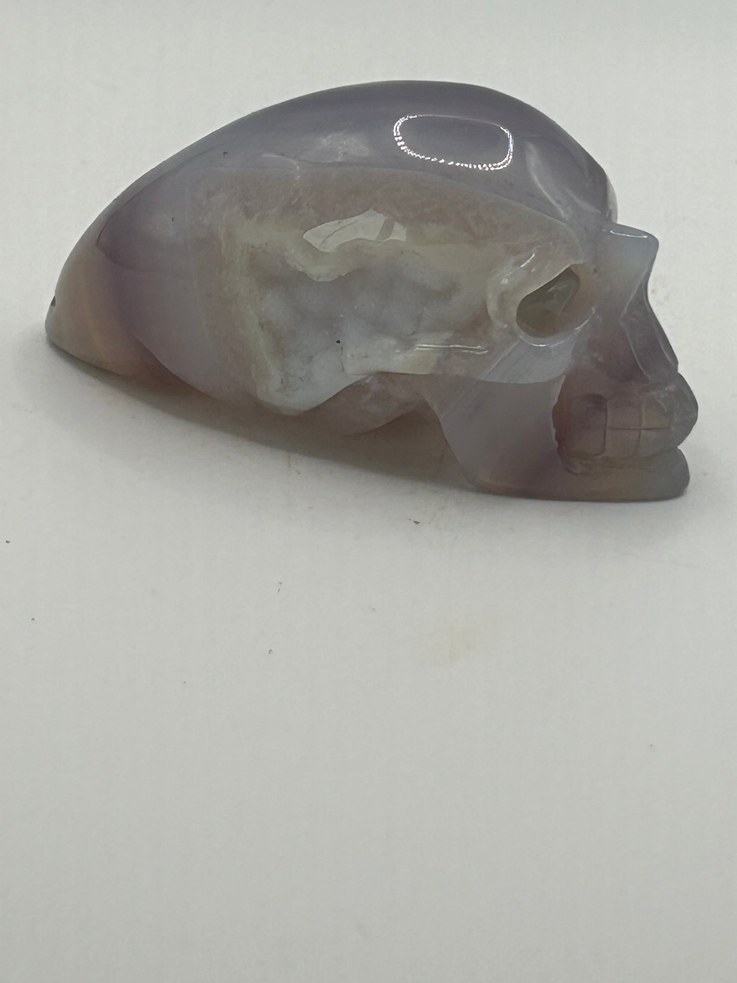 Skull, Alien - Agate