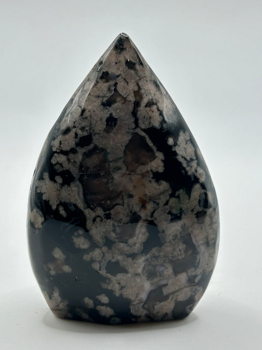 Tear Drop(s) - Black Flower Agate