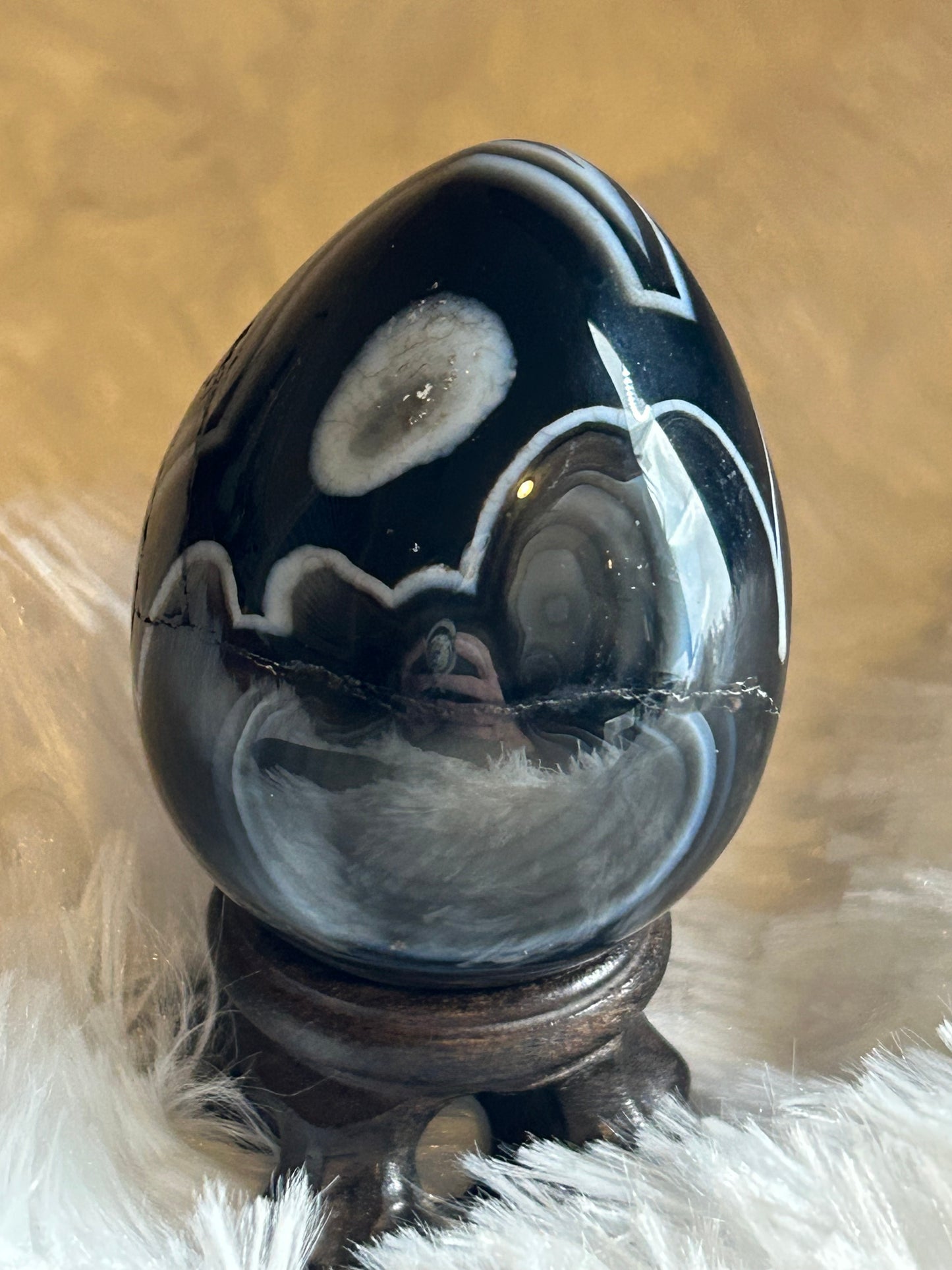 Egg(s), Black Onyx