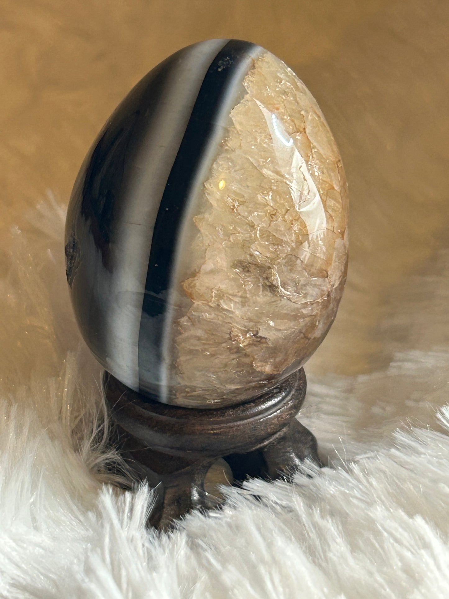 Egg(s), Black Onyx
