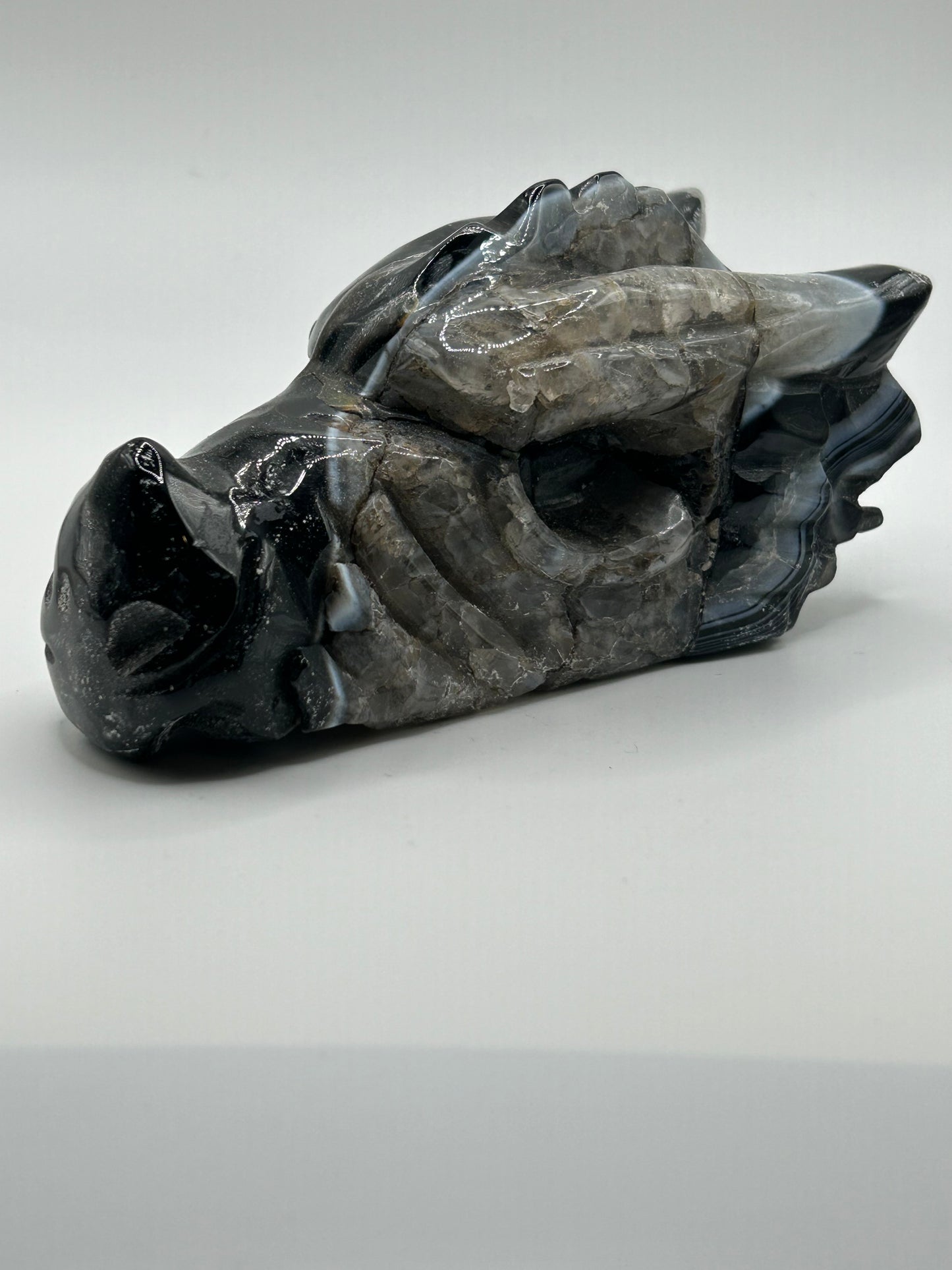 Dragon Head(s) - Black Agate