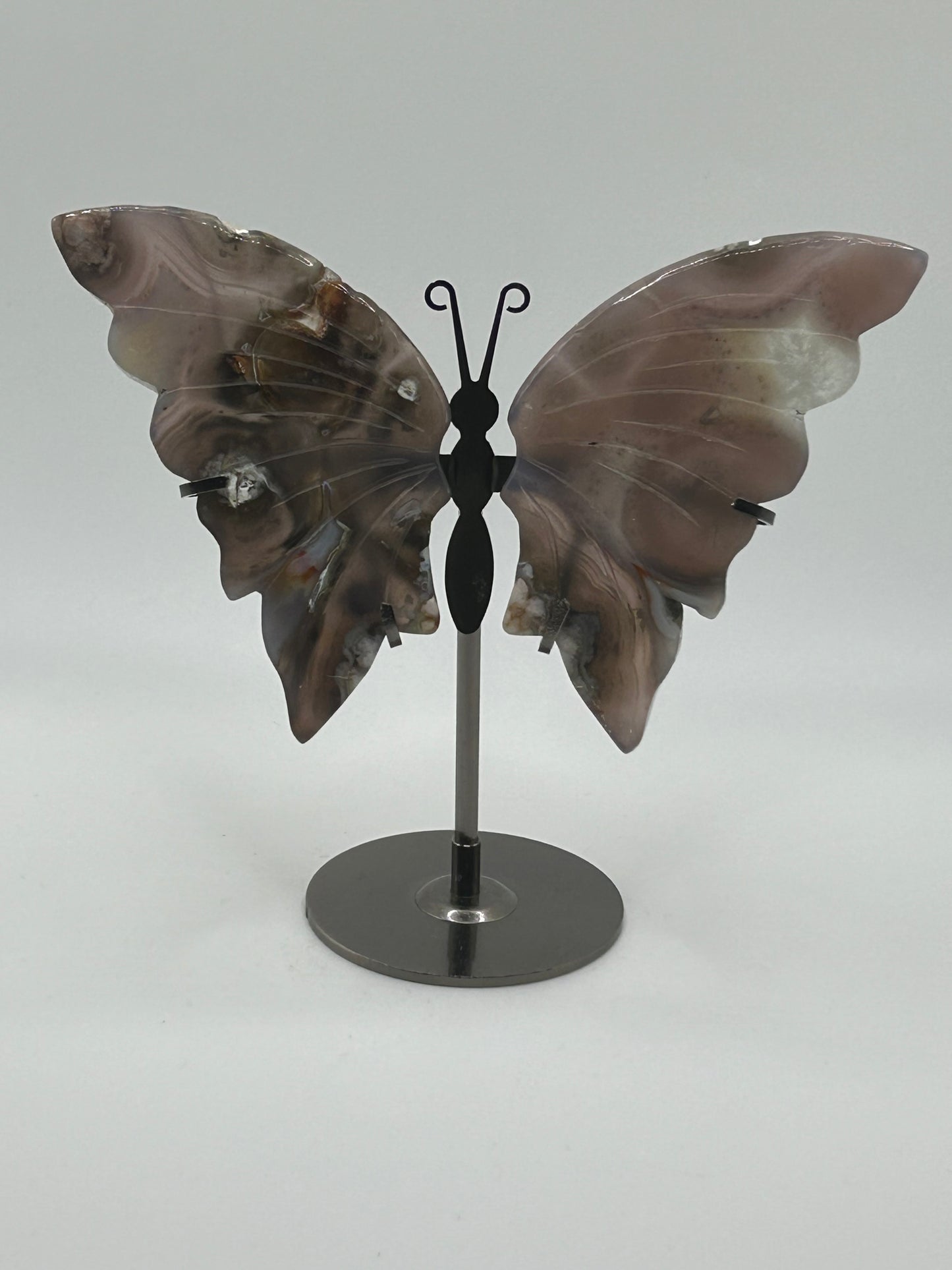 Butterfly Wings (Stand Included)