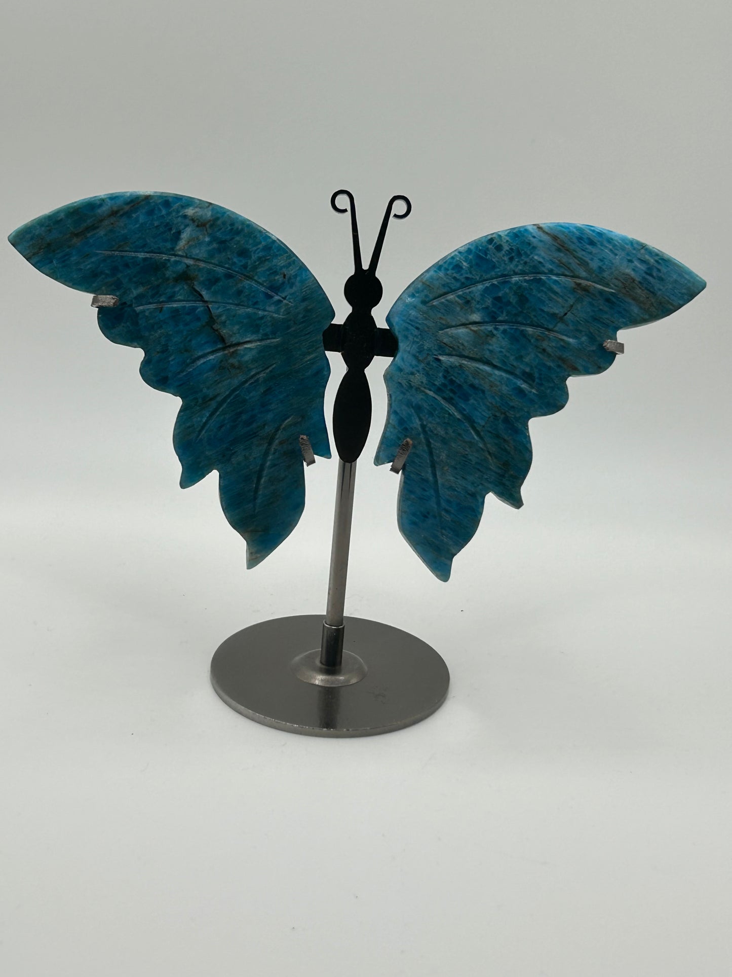 Butterfly Wings (Stand Included)