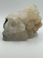 Skull(s) - Clear Quartz OR Garden Quartz