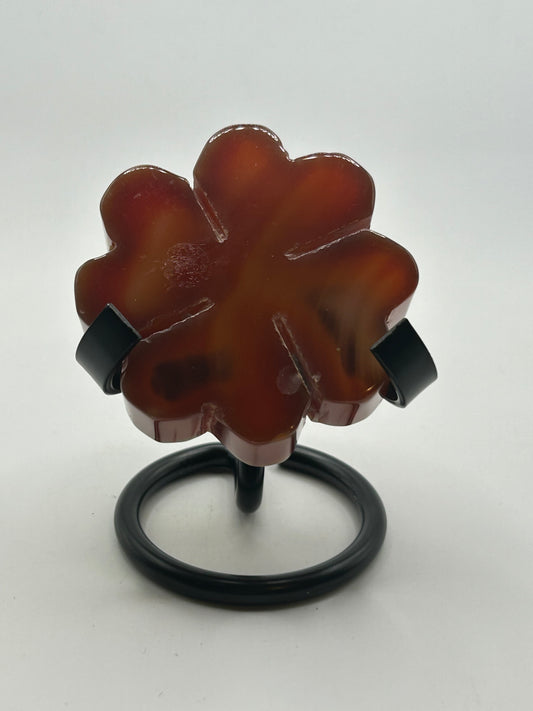 Clover - Carnelian