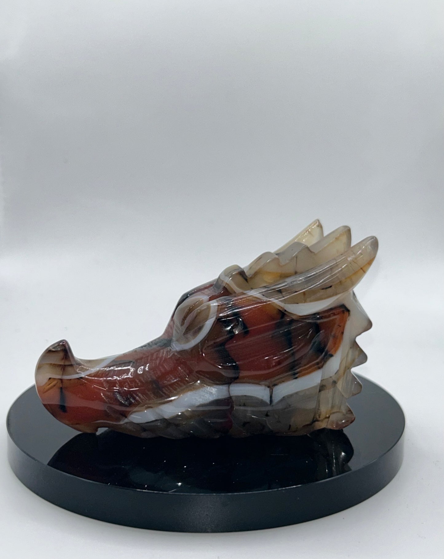 Dragon Head(s) - Sardonyx