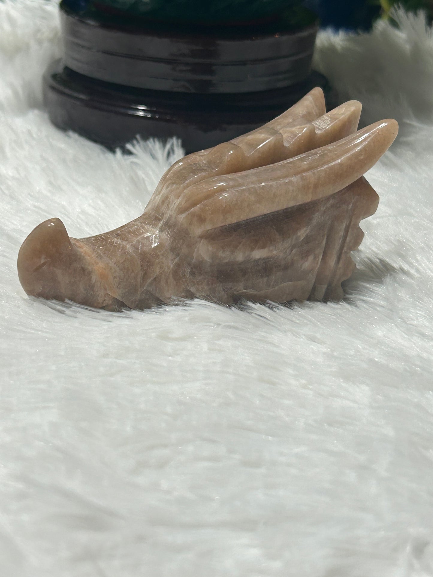 Dragon Head(s) - Moonstone/Sunstone