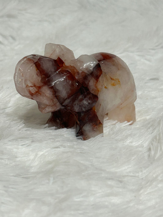 Elephant(s) - Fire Quartz