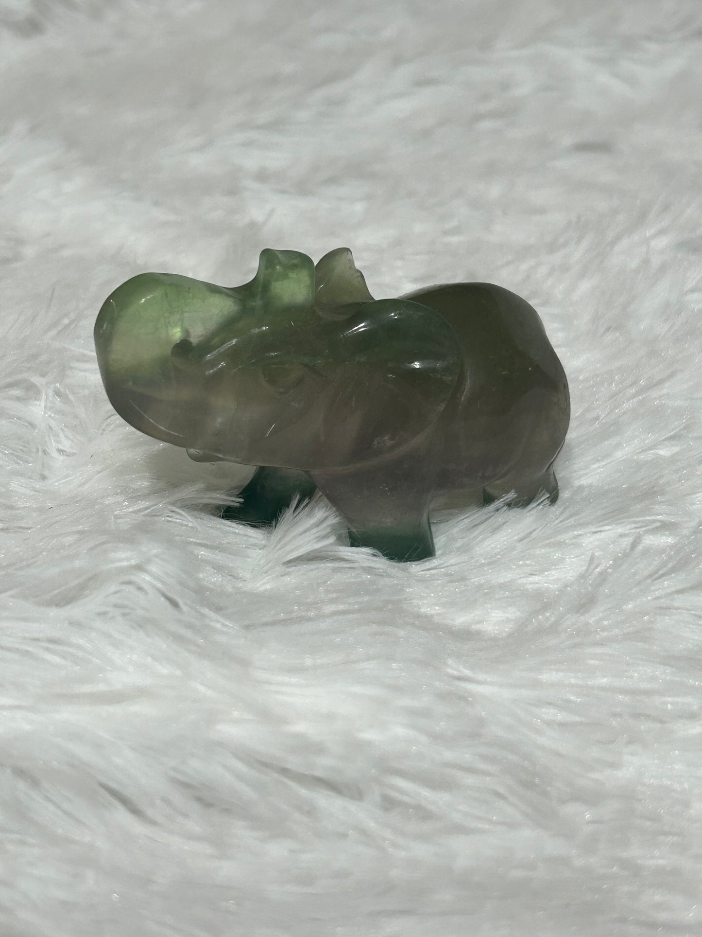 Elephant(s) - Fluorite