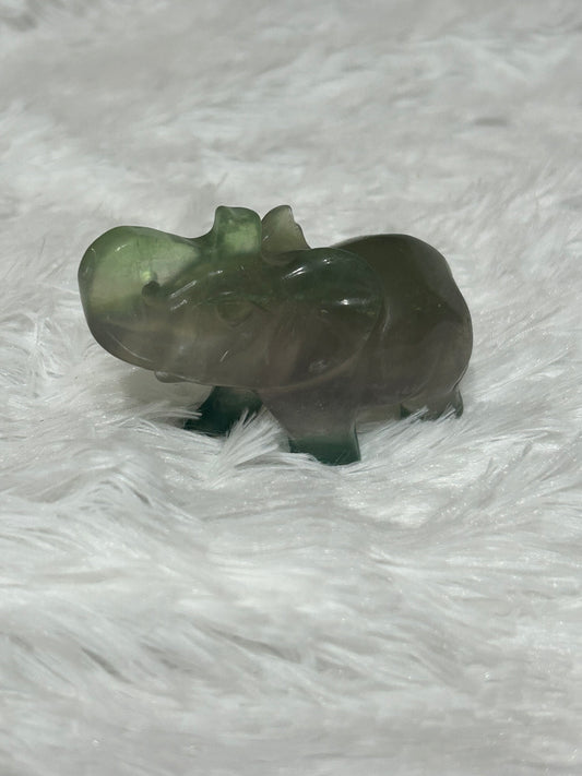 Elephant(s) - Fluorite