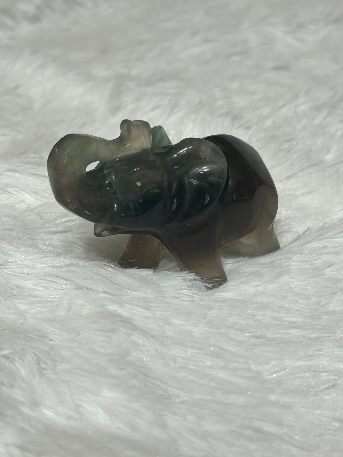 Elephant(s) - Fluorite