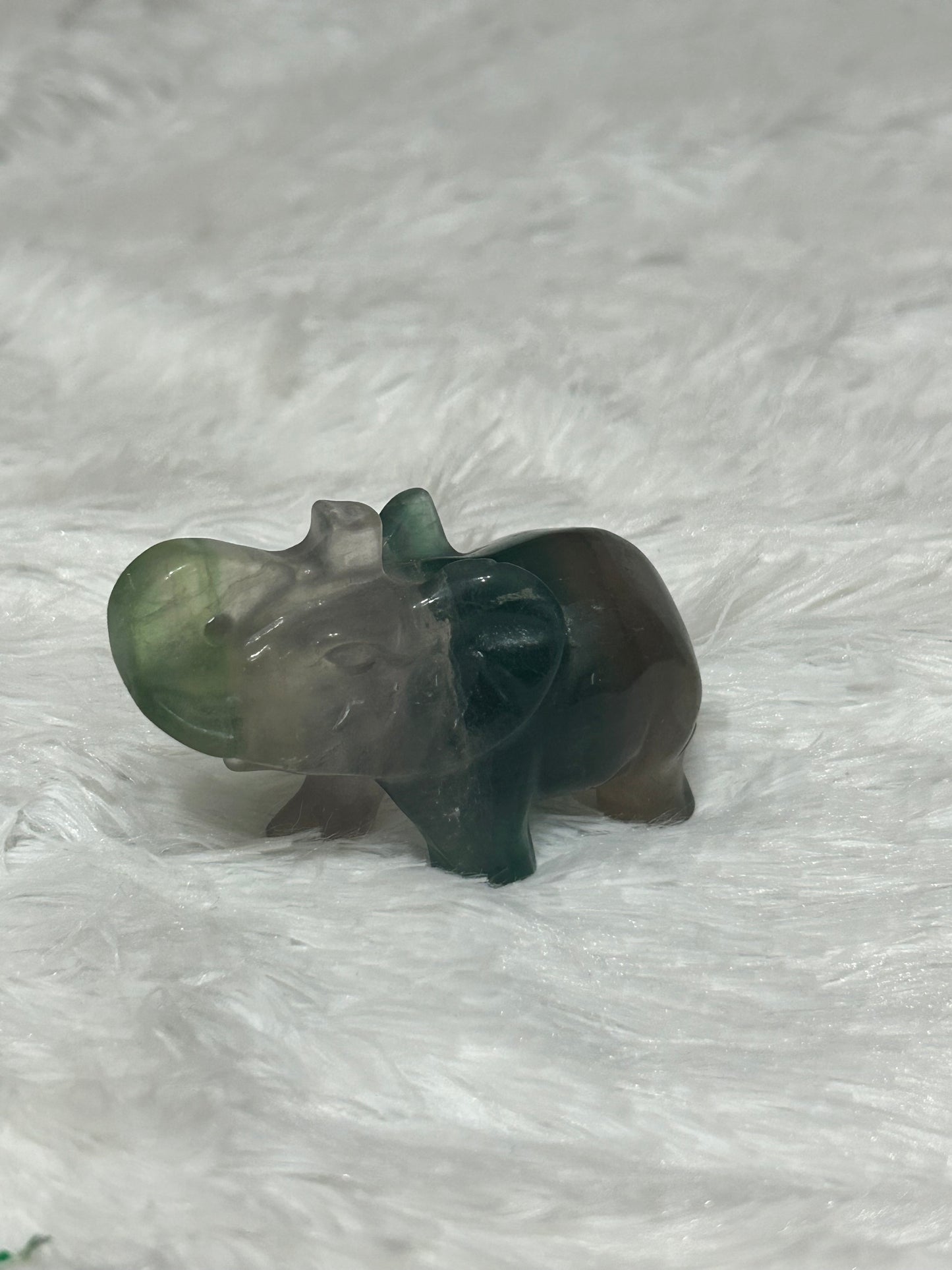 Elephant(s) - Fluorite