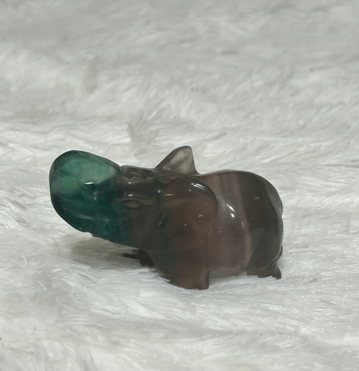 Elephant(s) - Fluorite