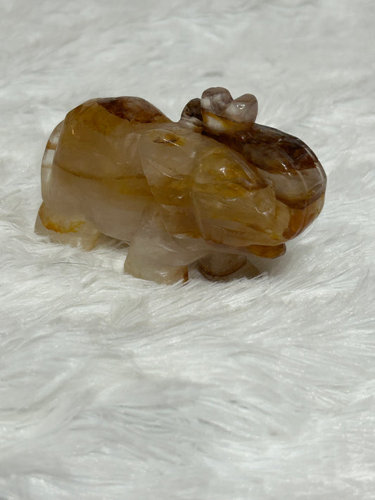 Elephant(s) - Golden Healer Quartz