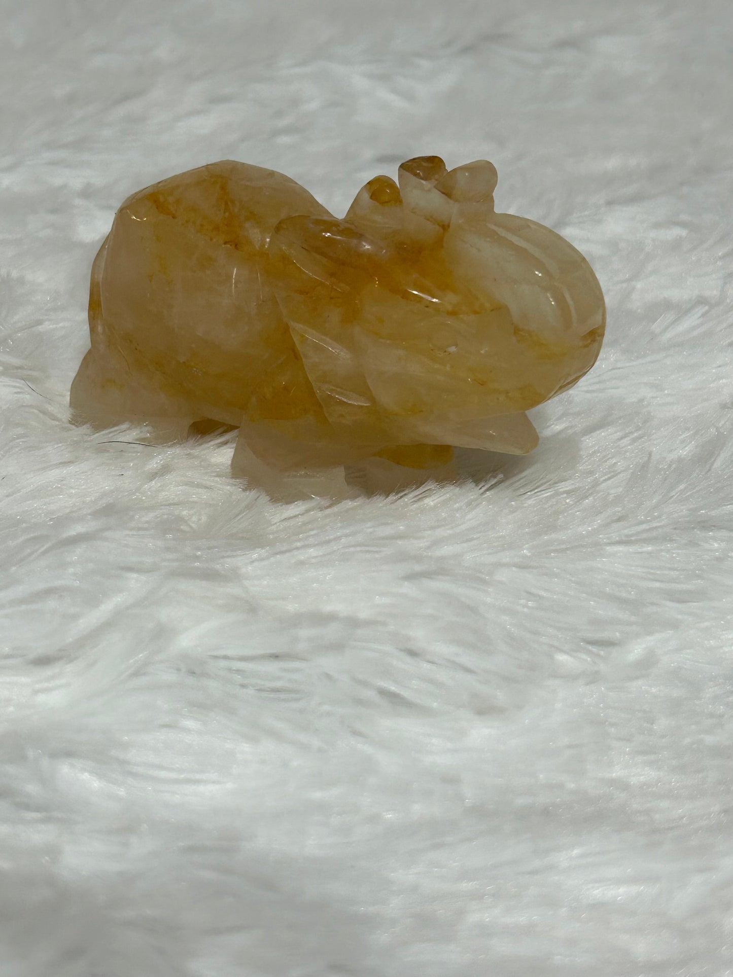 Elephant(s) - Golden Healer Quartz