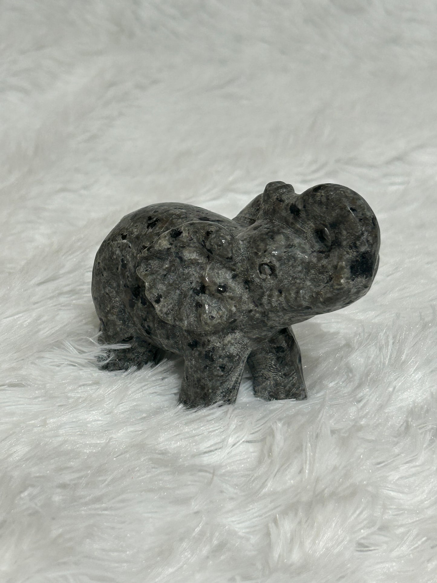 Elephant(s) - Yooperlite