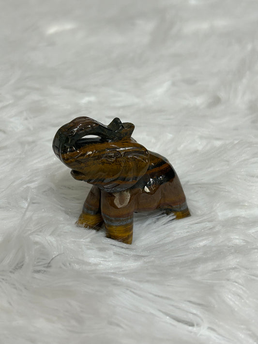 Elephant(s) - Tigers Eye