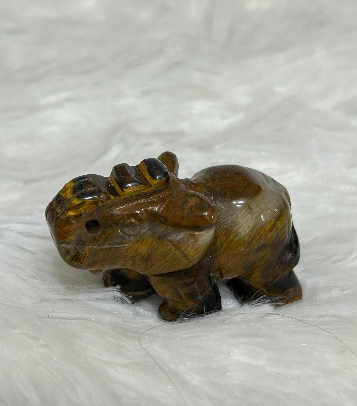 Elephant(s) - Tigers Eye