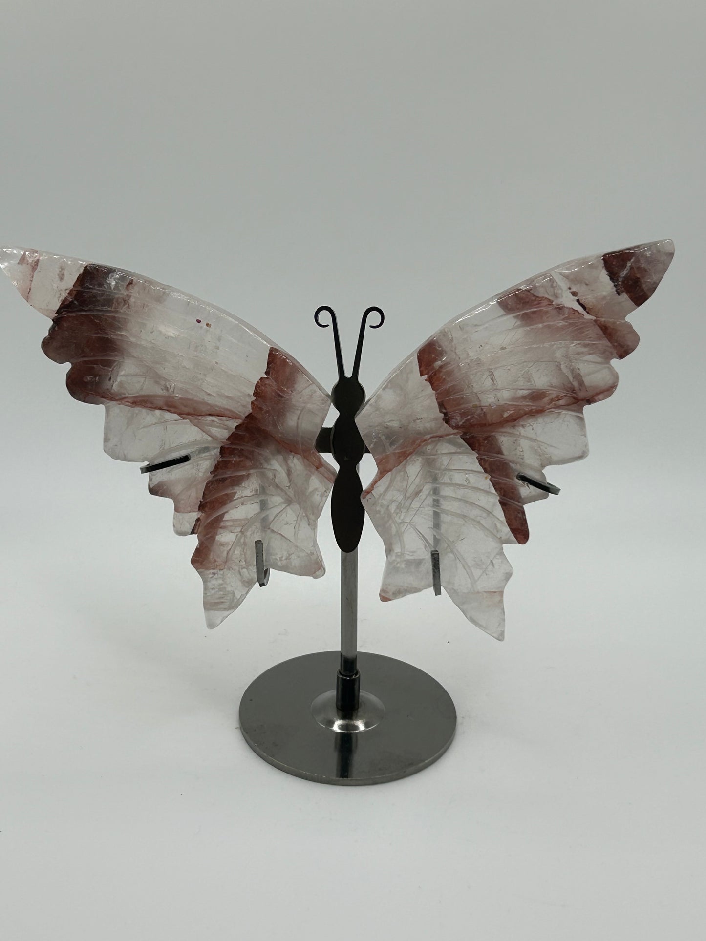 Butterfly Wings (Stand Included)