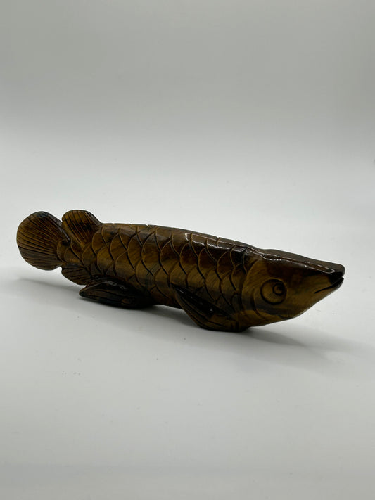 Fish - Golden or Yellow Tigers Eye