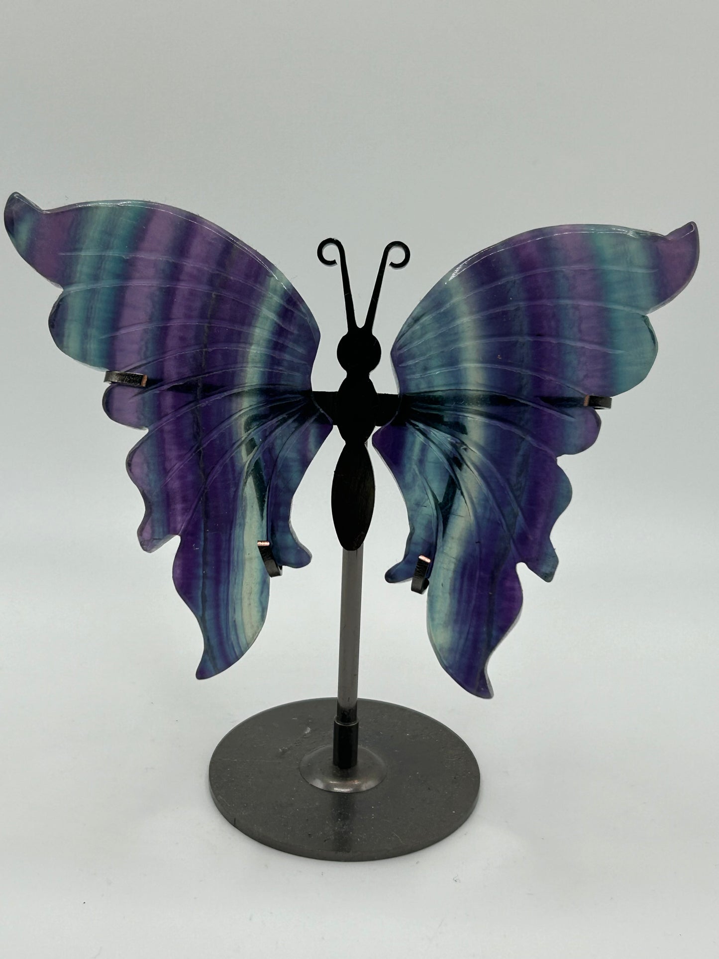 Butterfly Wings (Stand Included)